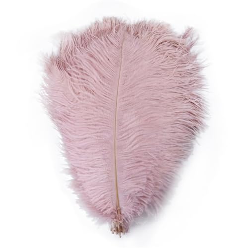 10pcs 15-60cm Black White Ostrich Feathers Bulk for Crafts Carnival Table Decor Plumas Accessories(Leather pink,15-20cm) von YIMEIYA