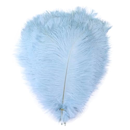 10pcs 15-60cm Black White Ostrich Feathers Bulk for Crafts Carnival Table Decor Plumas Accessories(Light Blue,25-30cm) von YIMEIYA