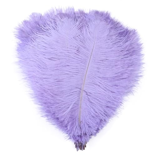 10pcs 15-60cm Black White Ostrich Feathers Bulk for Crafts Carnival Table Decor Plumas Accessories(Light Purple,15-20cm) von YIMEIYA