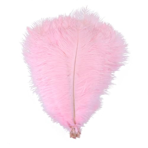 10pcs 15-60cm Black White Ostrich Feathers Bulk for Crafts Carnival Table Decor Plumas Accessories(Light pink,15-20cm) von YIMEIYA