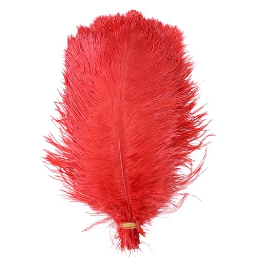 10pcs 15-60cm Black White Ostrich Feathers Bulk for Crafts Carnival Table Decor Plumas Accessories(Red,15-20cm) von YIMEIYA