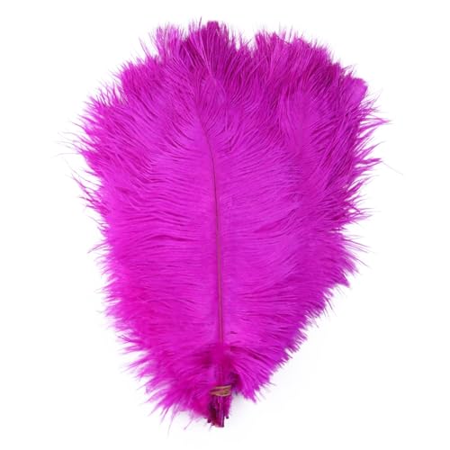 10pcs 15-60cm Black White Ostrich Feathers Bulk for Crafts Carnival Table Decor Plumas Accessories(Rose red,45-50cm) von YIMEIYA