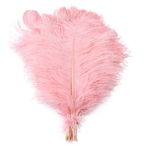 10pcs 15-60cm Black White Ostrich Feathers Bulk for Crafts Carnival Table Decor Plumas Accessories(Shrimp pink,15-20cm) von YIMEIYA