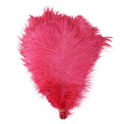 10pcs 15-60cm Black White Ostrich Feathers Bulk for Crafts Carnival Table Decor Plumas Accessories(West Red,15-20cm) von YIMEIYA