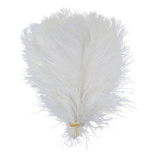 10pcs 15-60cm Black White Ostrich Feathers Bulk for Crafts Carnival Table Decor Plumas Accessories(White,15-20cm) von YIMEIYA