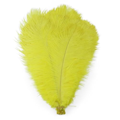 10pcs 15-60cm Black White Ostrich Feathers Bulk for Crafts Carnival Table Decor Plumas Accessories(Yellow,25-30cm) von YIMEIYA