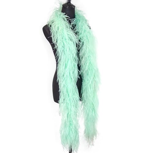 2 Meters 6Ply Ostrich Feathers Boas for Dress Wedding,Plume Shawl for Decoration Carnival Clothes Für Nähen(21) von YIMEIYA