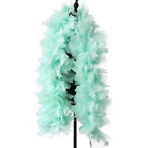 200g/2meter Big Turkey Plume Ribbon Feather Boa Shawl for Wedding Party Dress Sewing Decoration Für Nähen(Light green) von YIMEIYA