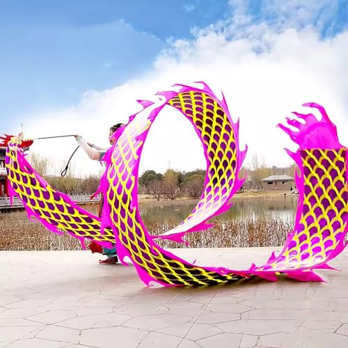 Chinesischer Drachentanz Streamer, 3D-Fliegende Drachenbandflagge – 6 m/8 m/10 m, quadratisches, schüttelndes Poi-Flow-Spielzeug mit Kunststoffkopf, realistischer Übungsdrachen for Outdoor-Tänzer for von YJzhAHanG