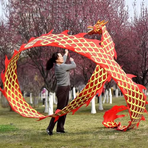 Chinesischer Drachentanz Streamer, 3D-Fliegende Drachenbandflagge – 6 m/8 m/10 m, quadratisches, schüttelndes Poi-Flow-Spielzeug mit Kunststoffkopf, realistischer Übungsdrachen for Outdoor-Tänzer for von YJzhAHanG