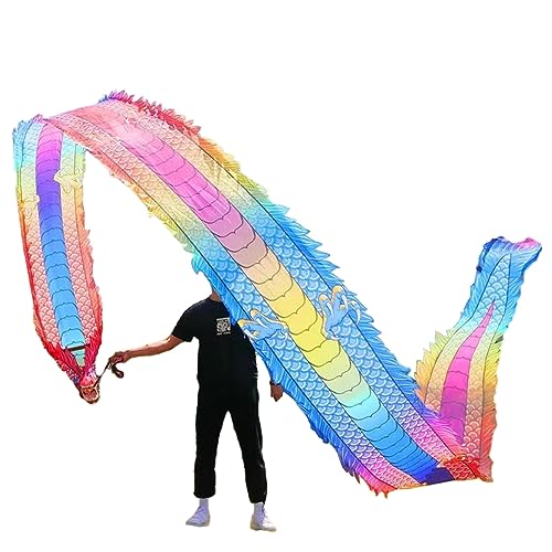 Chinesischer Drachentanz Streamer, Bunter 3D-Drachen mit chinesischer Tänzerin, realistischer, fließender Streamer, waschbar, zitternde Drachen-Performance-Requisiten for Tanzübungen,(Ligjt grey,10 m/ von YJzhAHanG