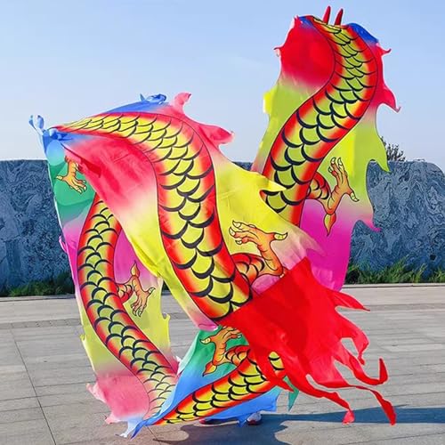 Chinesischer Drachentanz Streamer, Dragon Poi Drachen-Poi-Drachen aus Seide, waschbar, Bandtänzer-Streamer for Erwachsene mit Kopf, Schleuderkunst, Schuppentänzer-Flagge for Outdoor-Fitness, Jongliere von YJzhAHanG