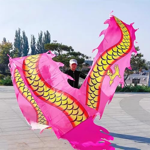 Chinesischer Drachentanz Streamer, Dragon Poi Drachen-Poi-Drachen aus Seide, waschbar, Bandtänzer-Streamer for Erwachsene mit Kopf, Schleuderkunst, Schuppentänzer-Flagge for Outdoor-Fitness, Jongliere von YJzhAHanG