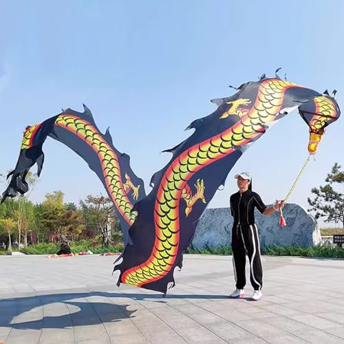 Chinesischer Drachentanz Streamer, Dragon Poi Drachen-Poi-Drachen aus Seide, waschbar, Bandtänzer-Streamer for Erwachsene mit Kopf, Schleuderkunst, Schuppentänzer-Flagge for Outdoor-Fitness, Jongliere von YJzhAHanG