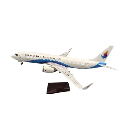 Metallflugzeugmodell Druckguss 47 cm Maßstab Für B737-800 East China Sea Modell Flugzeug Rad Fahrwerk Casting Harz Sammlung Desktop Display Flugzeuge Sammeln Oder Verschenken(No Light) von YLQERZ