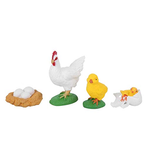 YOUTHINK Tiermodellzyklus Zahlen von Huhn, Hahn Wachstumszyklus Modell Kinder Miniatur Simulation Tier Frühpödagogik Statue Spielzeug Tiere Lebenszyklus Figuren für von YOUTHINK