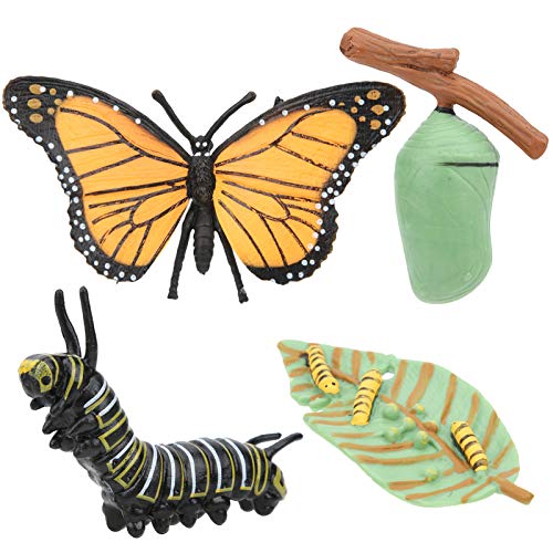 YOUTHINK Schmetterling Tier Lebenszyklus, 4 PCS Insektenwachstum Modell Figur Figuren Kinder Lernen & Lernspielzeug Desktop-Dekoration Mädchen(EIN) von YOUTHINK