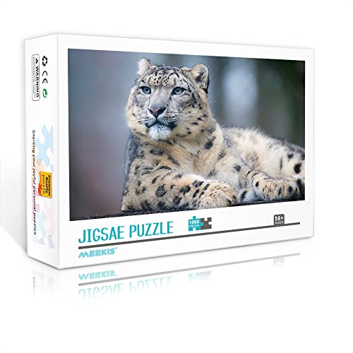 1000 Teile Mini-Puzzle für Erwachsene Snow Classic Puzzle Machen Sie EIN einzigartiges Puzzle-Geschenk (Papppuzzle 38x26cm) Puzzles für Erwachsene und Kinder von YTLIUYUANDE