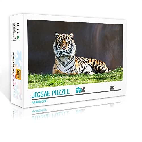 1000 Teile Mini-Puzzle für Erwachsene Tiger Klassisches Puzzle Herausforderung Spiel Unterhaltung Spielzeug Geschenk (Papppuzzle 38 x 26 cm) Puzzles für Erwachsene und Kinder von YTLIUYUANDE