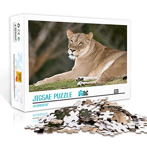 Minipuzzle für Erwachsene 1000 Teile Löwe Set Puzzle Puzzle Familienherausforderung Unterhaltung Spielzeug Geschenk (Papppuzzle 38x26cm) Puzzle für Erwachsene 1000 Teile von YTLIUYUANDE