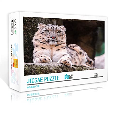 Minipuzzle für Erwachsene 1000 Teile Puzzle Snow Set Puzzle besonderes Abschluss- oder Geburtstagsgeschenk (Kartonpuzzle 38x26 cm) Puzzles für Erwachsene und Kinder von YTLIUYUANDE