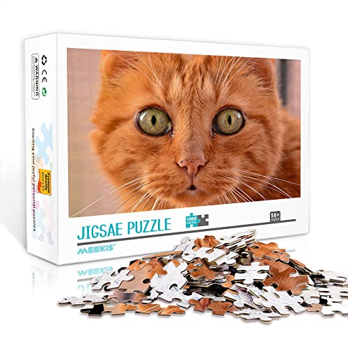 1000 Teile Mini-Puzzle für Erwachsene Katze Klassisches Puzzle Machen Sie EIN einzigartiges Puzzle-Geschenk (Papppuzzle 38x26cm) Puzzle für Erwachsene 1000 Teile von YTLIXIANGN