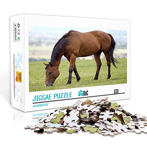 1000 Teile Mini-Puzzle für Erwachsene Pferd Klassische Puzzle-Herausforderung zum Lösen von Puzzle-Spielzeug (38x26cm-Papppuzzle) Puzzles für Erwachsene und Kinder von YTLIXIANGN