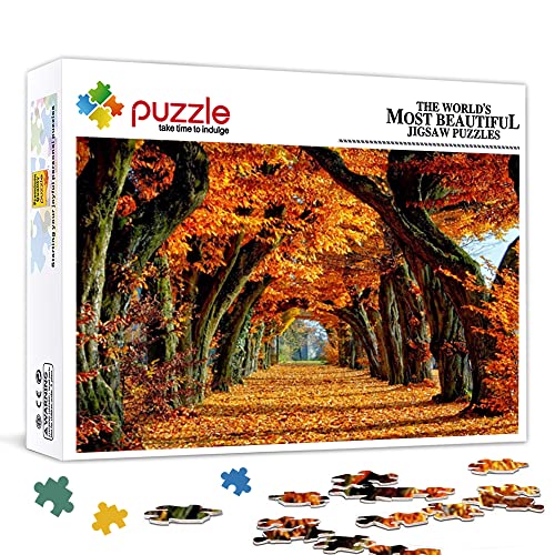 1000 Teile Minipuzzle für Erwachsene Herbstlandschaft Klassisches Puzzle Familienspiel Puzzle Geschenk (38x26cm Kartonpuzzle) Puzzle für Erwachsene und Kinder von YTLIXIANGN