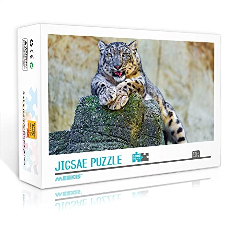 1000 Teile Minipuzzle für Erwachsene Snow Classic Puzzle Anspruchsvolles Puzzlegeschenk (Papppuzzle 38x26cm) Puzzles für Erwachsene und Kinder von YTLIXIANGN