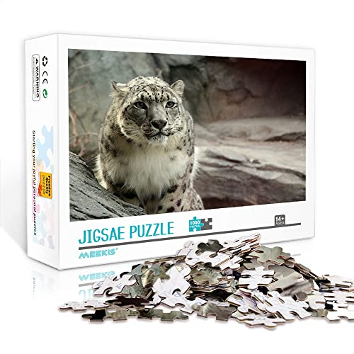 1000 Teile Minipuzzle für Erwachsene Snow Classic Puzzle Anspruchsvolles Puzzlegeschenk (Papppuzzle 38x26cm) Puzzles für Erwachsene und Kinder von YTLIXIANGN