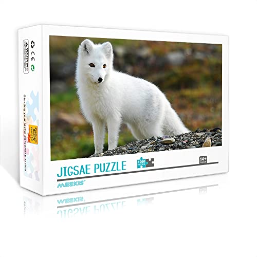 1000 Teile Minipuzzles für Erwachsene Arctic Classic Puzzle Herausforderndes Kunstpuzzle (38 x 26 cm Kartonpuzzle) Puzzles für Erwachsene und Kinder von YTLIXIANGN