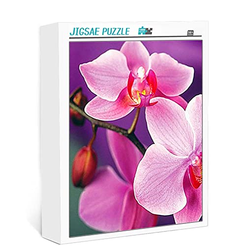 1000 Teile Puzzle für Erwachsene Orchidee Klassisches Puzzle Herausforderung und Stressabbau Spielzeugpuzzle Puzzle für Kinder und Erwachsene (75x50cm) von YTLIXIANGN