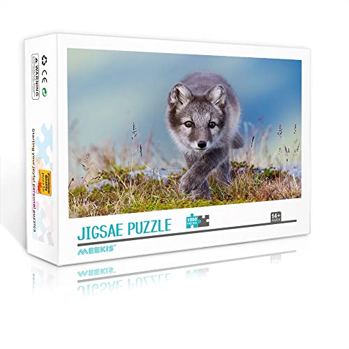 Mini-Puzzle für Erwachsene 1000 Teile Arctic Puzzle-Set Spielzeuggeschenke für Erwachsene und Kinder (Papppuzzle 38 x 26 cm) Puzzles für Erwachsene und Kinder von YTLIXIANGN