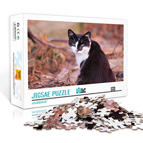 Mini Puzzle für Erwachsene 1000 Teile Katzenpuzzle Set Puzzle DIY Home Entertainment Spielzeug (70x50cm Kartonpuzzle) Puzzles für Erwachsene und Kinder von YTLIXIANGN