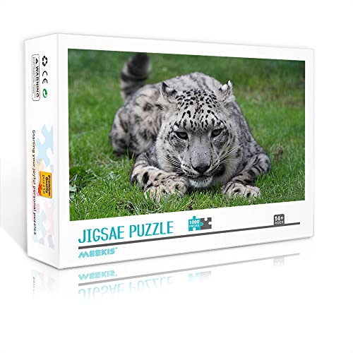 Mini-Puzzle für Erwachsene 1000 Teile Puzzle Schneeset Puzzle für Heimwanddekoration (38 x 26 cm Kartonpuzzle) Puzzles für Erwachsene und Kinder von YTLIXIANGN