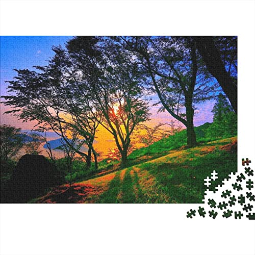 Puzzles Für Erwachsene,300 Teile Holzpuzzle -Landschaft,Erde Natur Thema Puzzle Geschenk Wanddekoration 300pcs (40x28cm) von YTPONBCSTUG