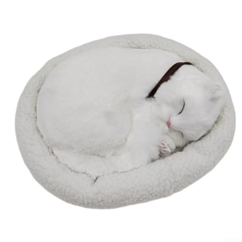 YUANGANG Atmende Katze, Plüschpuppe, Lernspielzeug, Plüschpuppe, Modelldekoration mit Matte, kreatives Plüschspielzeug für Zuhause, Büro, Schlafzimmer, Ornament (Perserkatze) von YUANGANG