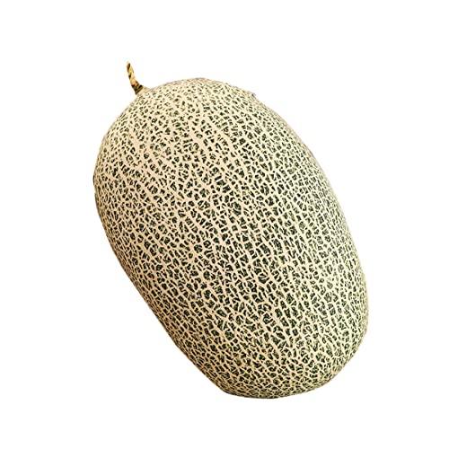 YUBEIER Niedliche, Mit Früchten Gefüllte Kissen, Kinderkissen, Gefüllte Wassermelonen-Plüschtiere, Superweiche Mädchenkissen, Ananas-Durian-Kissen, Sitzcouch-Ornamente(Cantaloupe) von YUBEIER