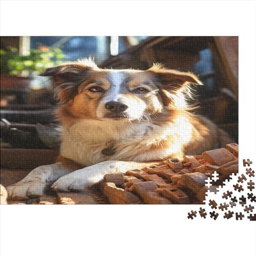 Border Collie– 1000 Teile, Impossible Puzzle, Geschicklichkeitsspiel Für Die Ganze Familie, Farbenfrohes Legespiel, Erwachsenenpuzzle Ab 12 Jahren 1000pcs (75x50cm) von YUXINYUE