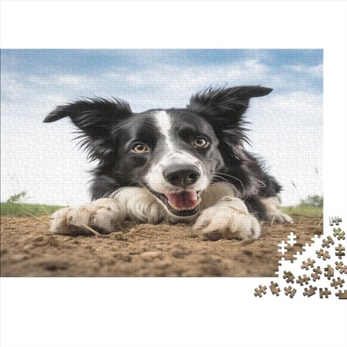 Border Collie Puzzles Für Erwachsene Kinder | Cute Puppy | Familienspaß Puzzles Für Erwachsene Und Kinder Geschenke | Unmögliche Herausforderungen | 500pcs (52x38cm) von YUXINYUE