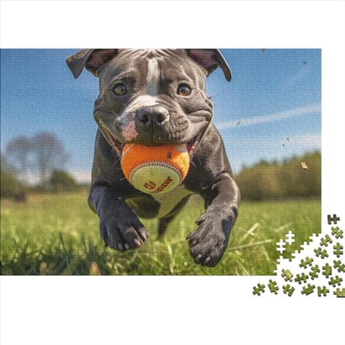 Puzzles Für Kinder300 Teile Karikatur Puzzle DIY Staffordshire Bull Terrier Puzzle 300 Teile Klassische Puzzles Spielzeug Familienspaß Jigsaw Board 300pcs (40x28cm) von YUXINYUE