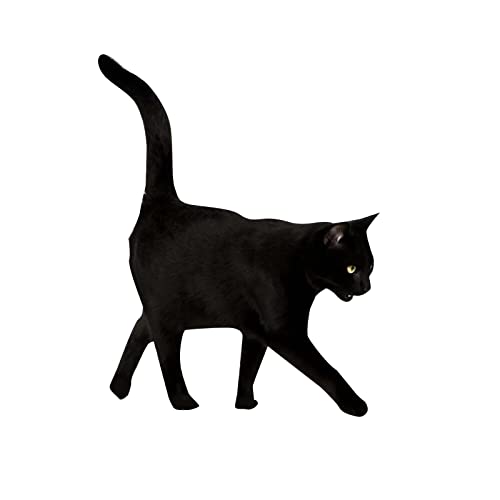 Cake Topper Holz Körpersimulation Katze Einsatz Yard Art Garten Garten Außendekoration Plug-In Garten Outdoor Festival Dekoration Acryldruck Gartendekorationen Turnierschleifen (Black, One Size) von YWJewly