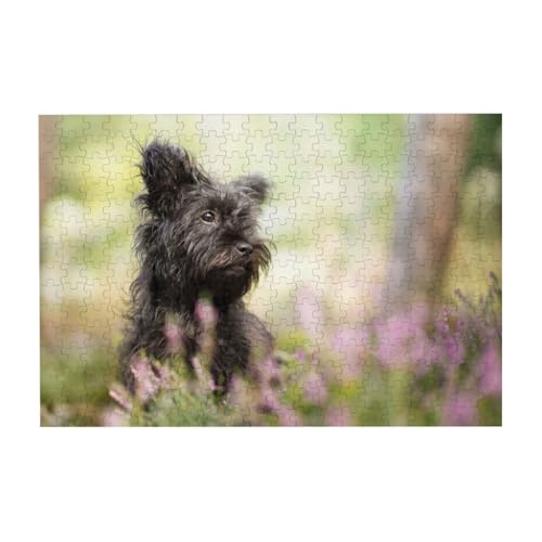 Affenpinscher Rasen Schwarze Hunde Affe Terrier, Puzzle 300 Teile Holzpuzzle Spielzeug Familienspiel Wanddekoration für Erwachsene Teenager von YWSOTRE