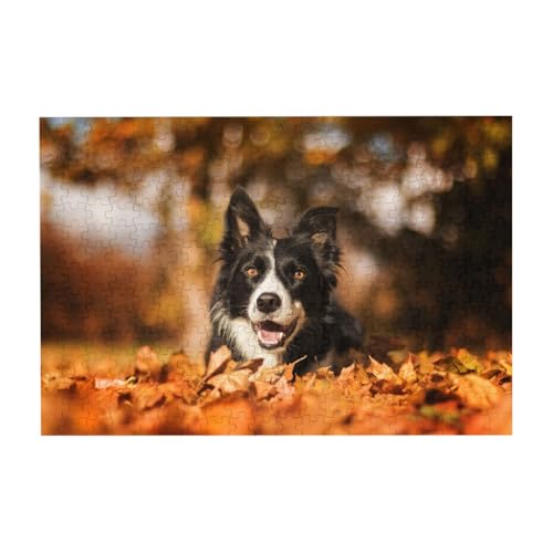 Border Collie Bokeh Herbst Schwarzer Border Collie, Puzzle 300 Teile Holzpuzzle Spielzeug Familienspiel Wanddekoration für Erwachsene Teenager von YWSOTRE