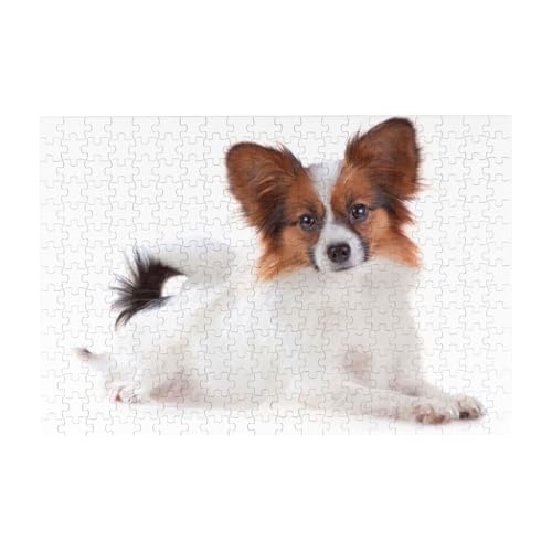 Flauschiger Papillon-Hund, Puzzle 300 Teile Holzpuzzle Spielzeug Familienspiel Wanddekoration für Erwachsene Teenager von YWSOTRE