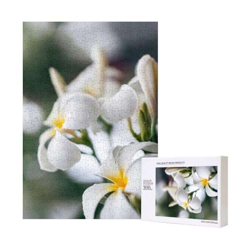 Schöne weiße Frangipani Wake Plumeria Blumen,300 Teile Holzpuzzle Familienspiel Puzzle für Erwachsene und Jugendliche Schöne weiße Frangipani Wake Plumeria Blumen,300 Teile Holzpuzzle Familienspiel Puzzle für Erwachsene und Jugendliche von YWSOTRE