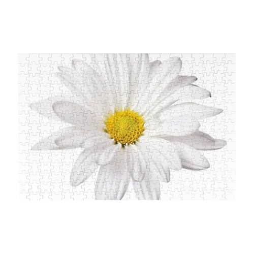 Weiße Gänseblümchen-Blume mit leuchtend gelbem Herzen, Puzzle 300 Teile Holzpuzzle Spielzeug Familienspiel Wanddekoration für Erwachsene Teenager von YWSOTRE