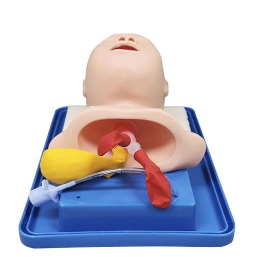 Trachealintubationsmodell for Säuglinge, analoger Doppellungen- und Magenerweiterungssimulator for Babys, 1 Stück von YXYFA