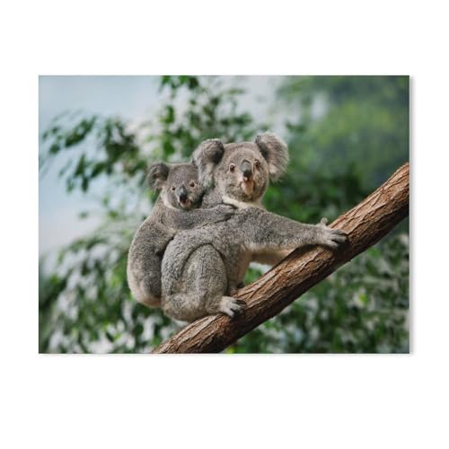 1000 Piece Puzzles Für Kid Adult Toy Geschenk DIY Game，Koala-Jungtier kuschelt Sich an den Rücken Seiner Mutter（38x26cm-276 von YYHMKBYY