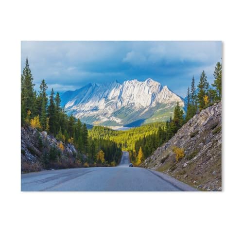 1000 Stück Puzzle，Jasper National Park, Alberta Kanada，Erwachsene Kinder Karton s pielzeug Lernspiel（38x26cm-584 von YYHMKBYY